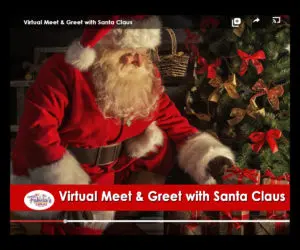 hire santa claus virtual