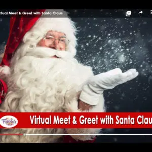 virtual meet and greet with santa